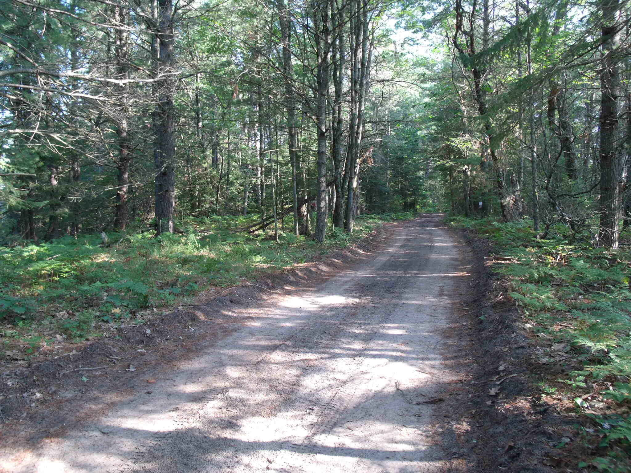 Indian River, Michigan 49749, United States, ,Land,Contingent,61867
