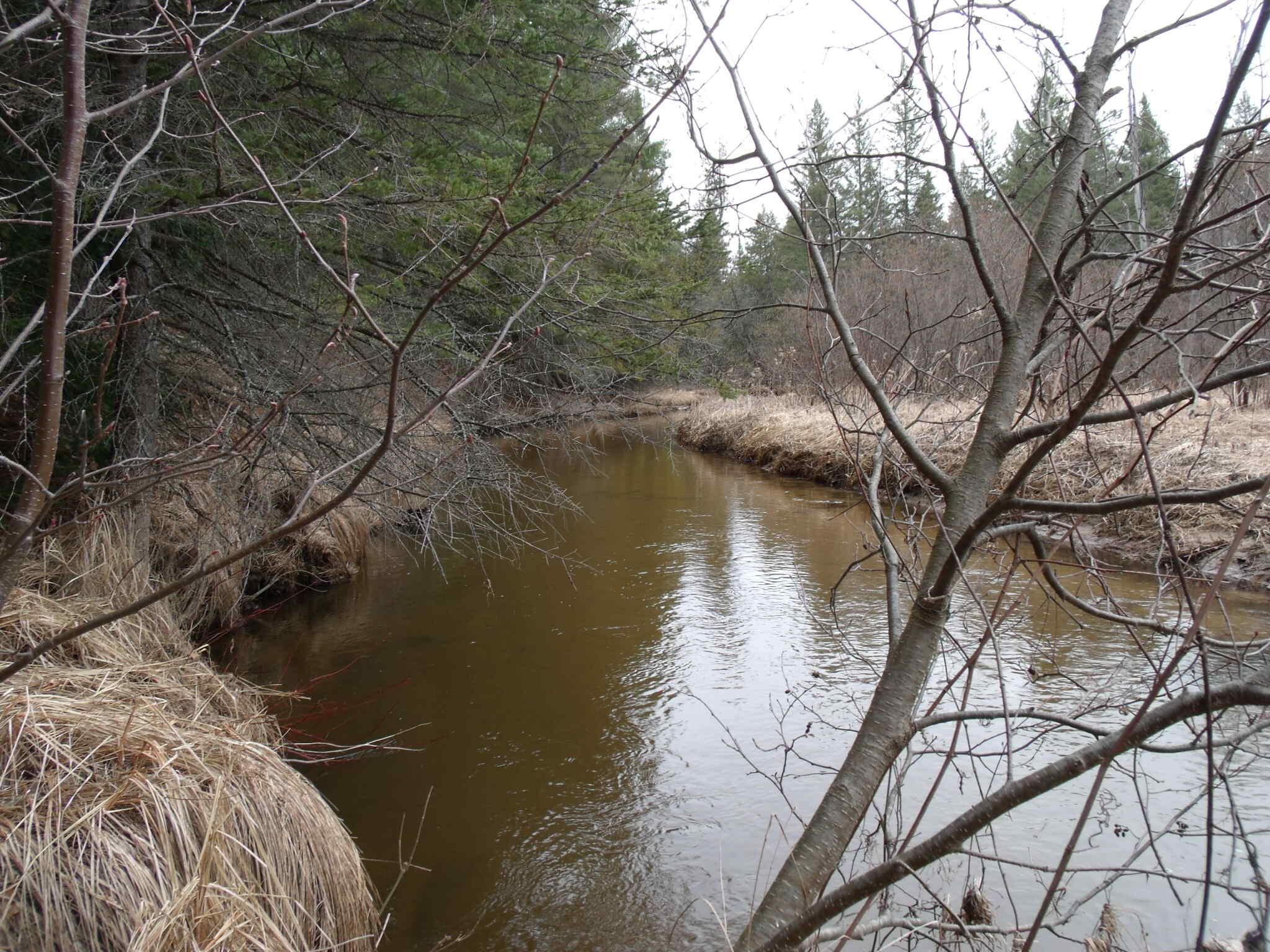 Indian River, Michigan 49749, United States, ,Land,Contingent,61867