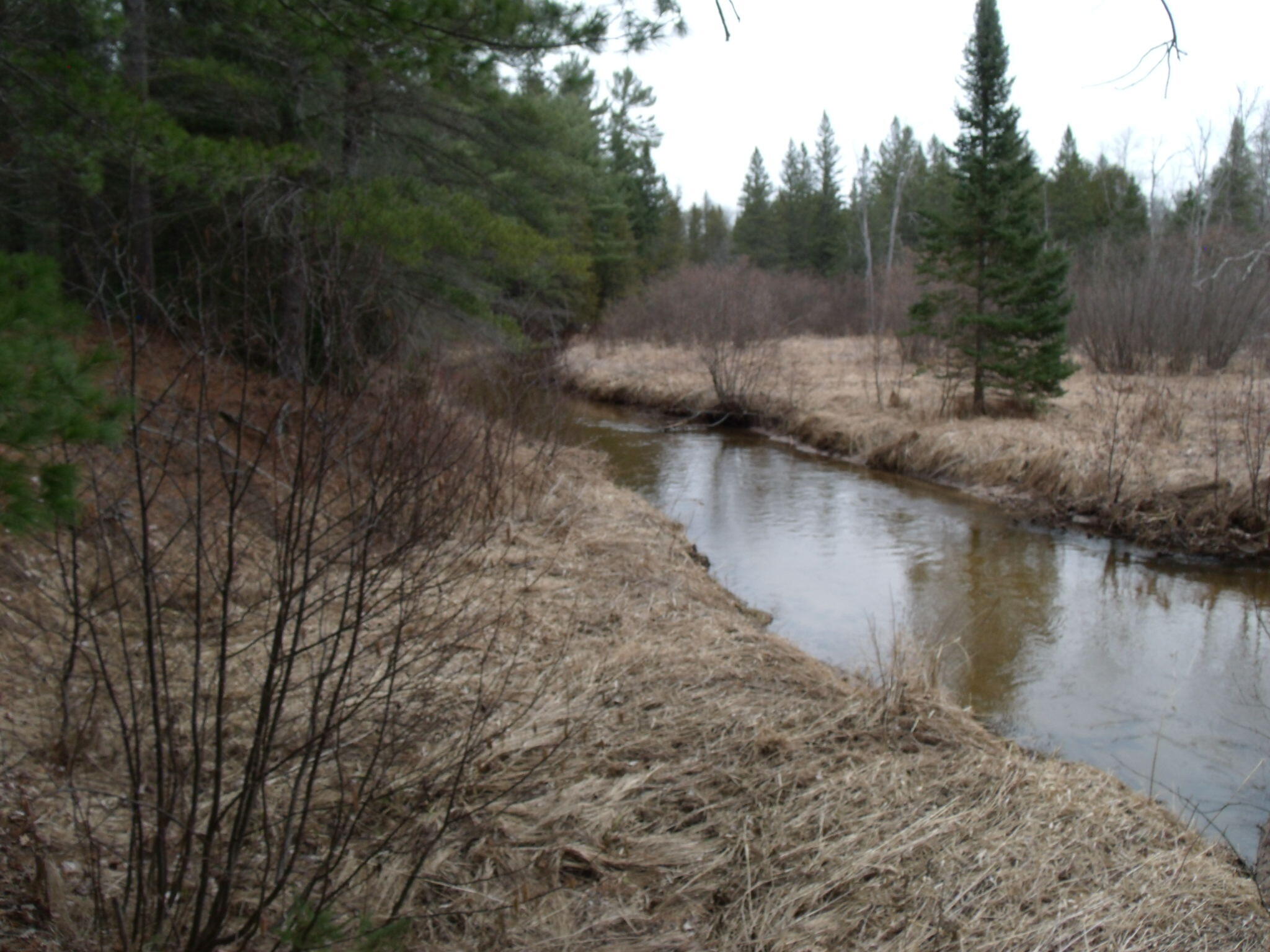 Indian River, Michigan 49749, United States, ,Land,Contingent,61867