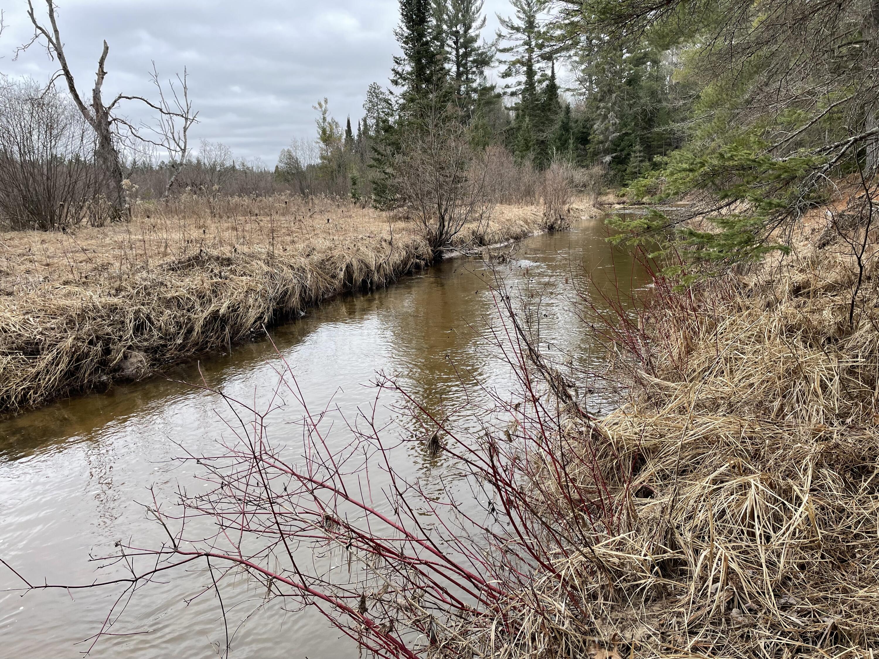 Indian River, Michigan 49749, United States, ,Land,Contingent,61867