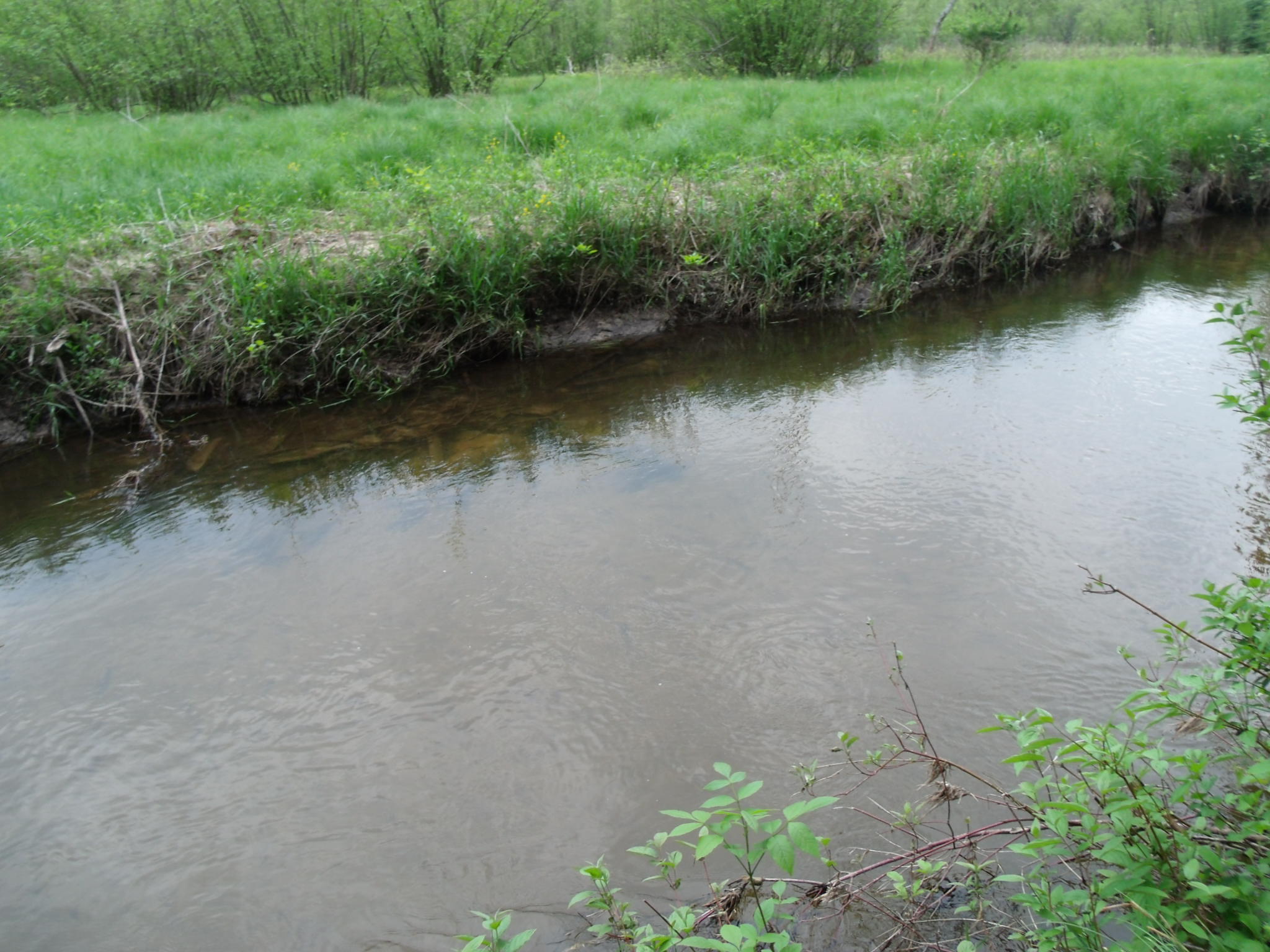 Indian River, Michigan 49749, United States, ,Land,Contingent,61867