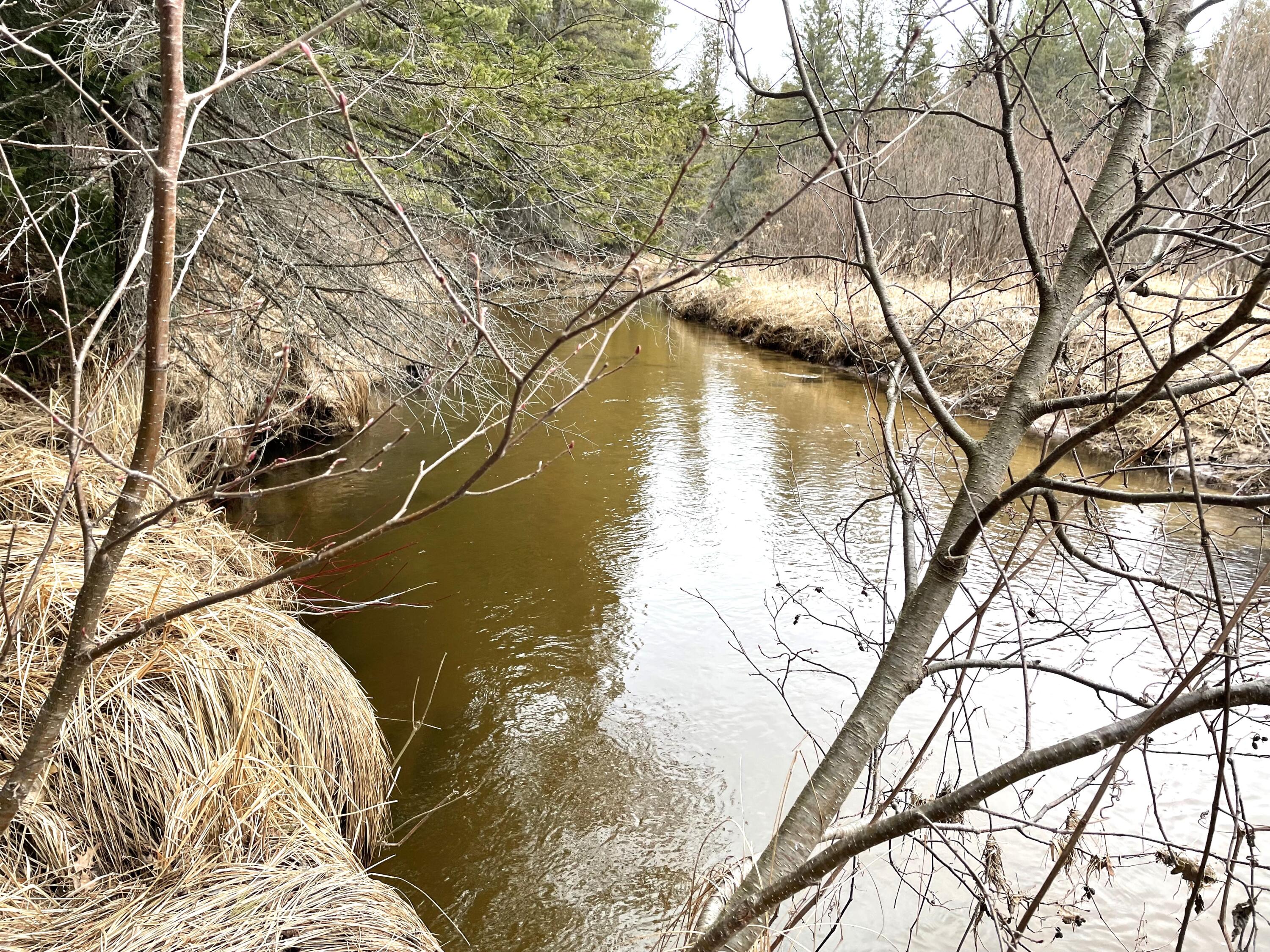 Indian River, Michigan 49749, United States, ,Land,Contingent,61867