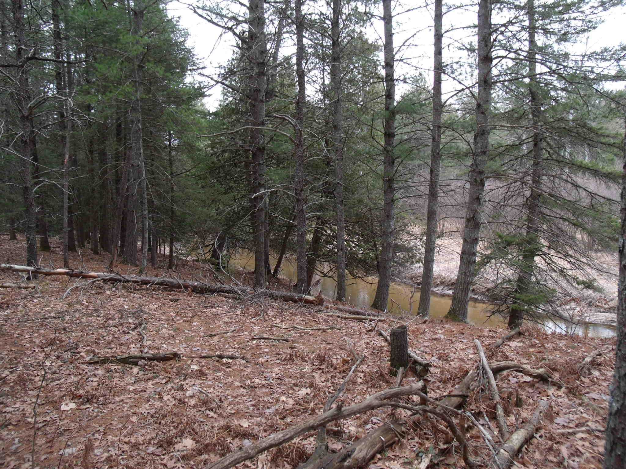 Indian River, Michigan 49749, United States, ,Land,Contingent,61867