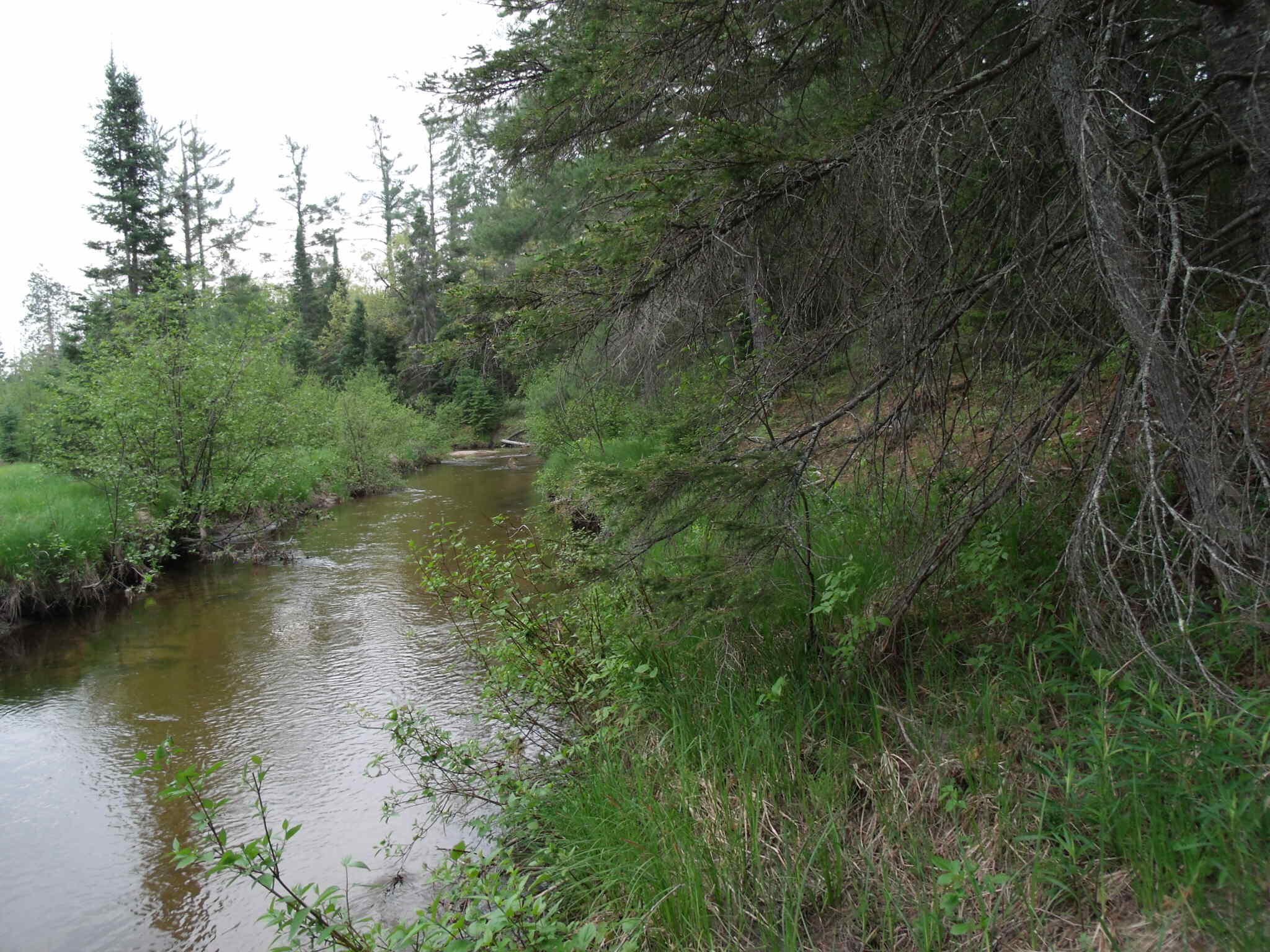 Indian River, Michigan 49749, United States, ,Land,Contingent,61867