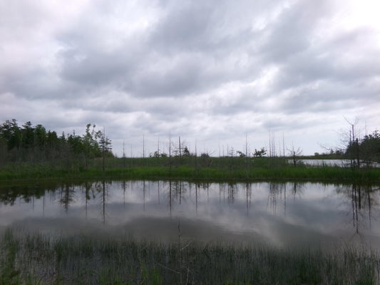 3305 EL CAJON BEACH RD, ALPENA, MI 49707 - Image f7c2a0ff2b2c047c415cdee4e56adef5/2508034021