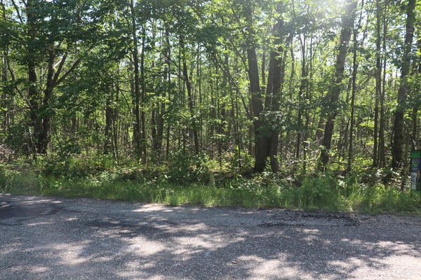LAMING CIRCLE, ELMIRA, MI 49730 - Image f839f3ead5bd9779a26ec5bd41ea2854/1479224100