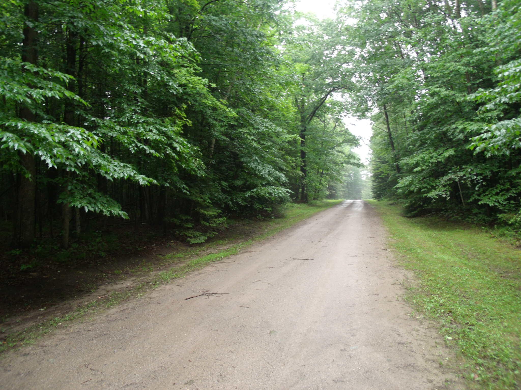 Indian River, Michigan 49749, United States, ,Land,Active,97559