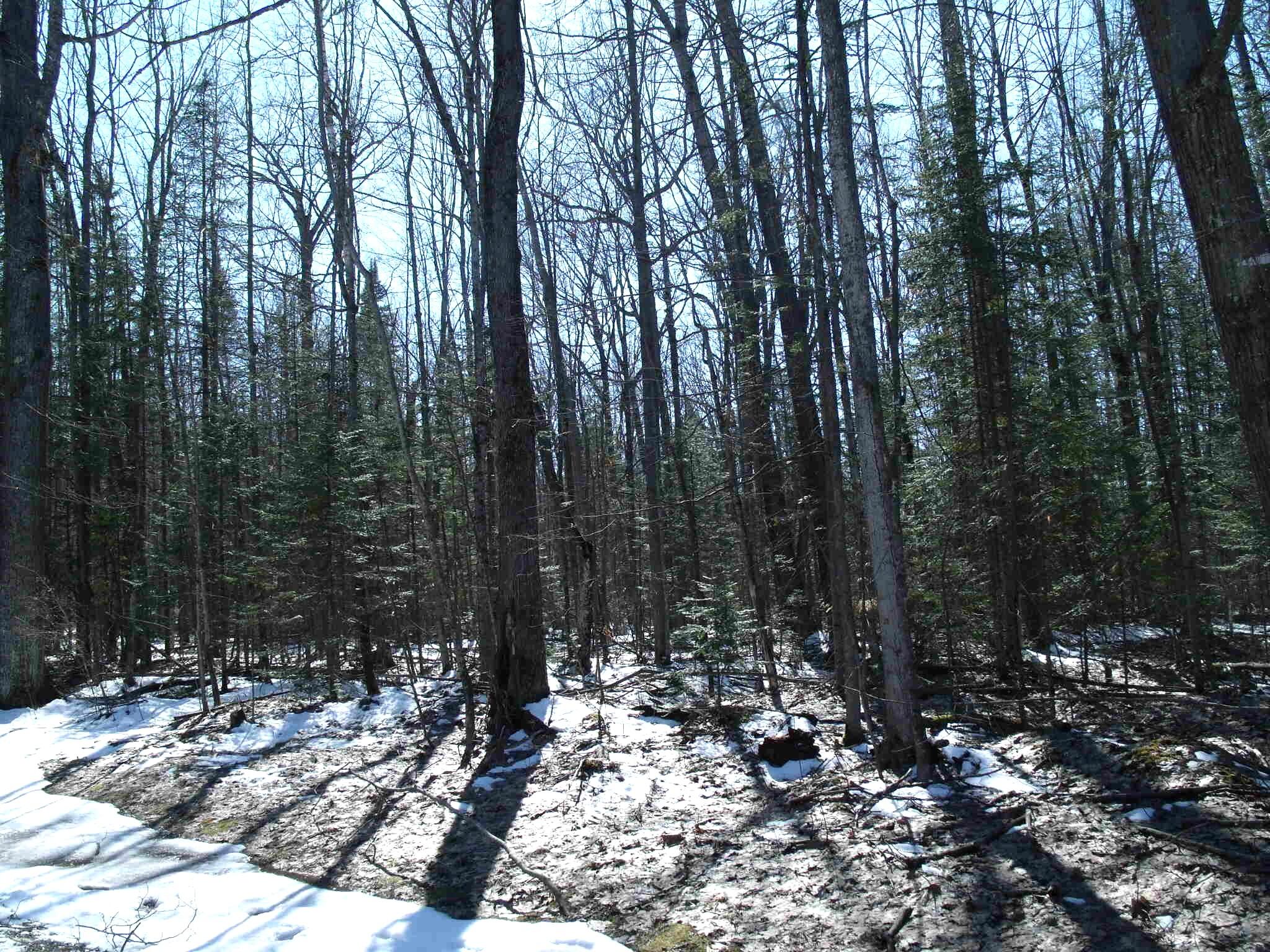 Indian River, Michigan 49749, United States, ,Land,Active,97559