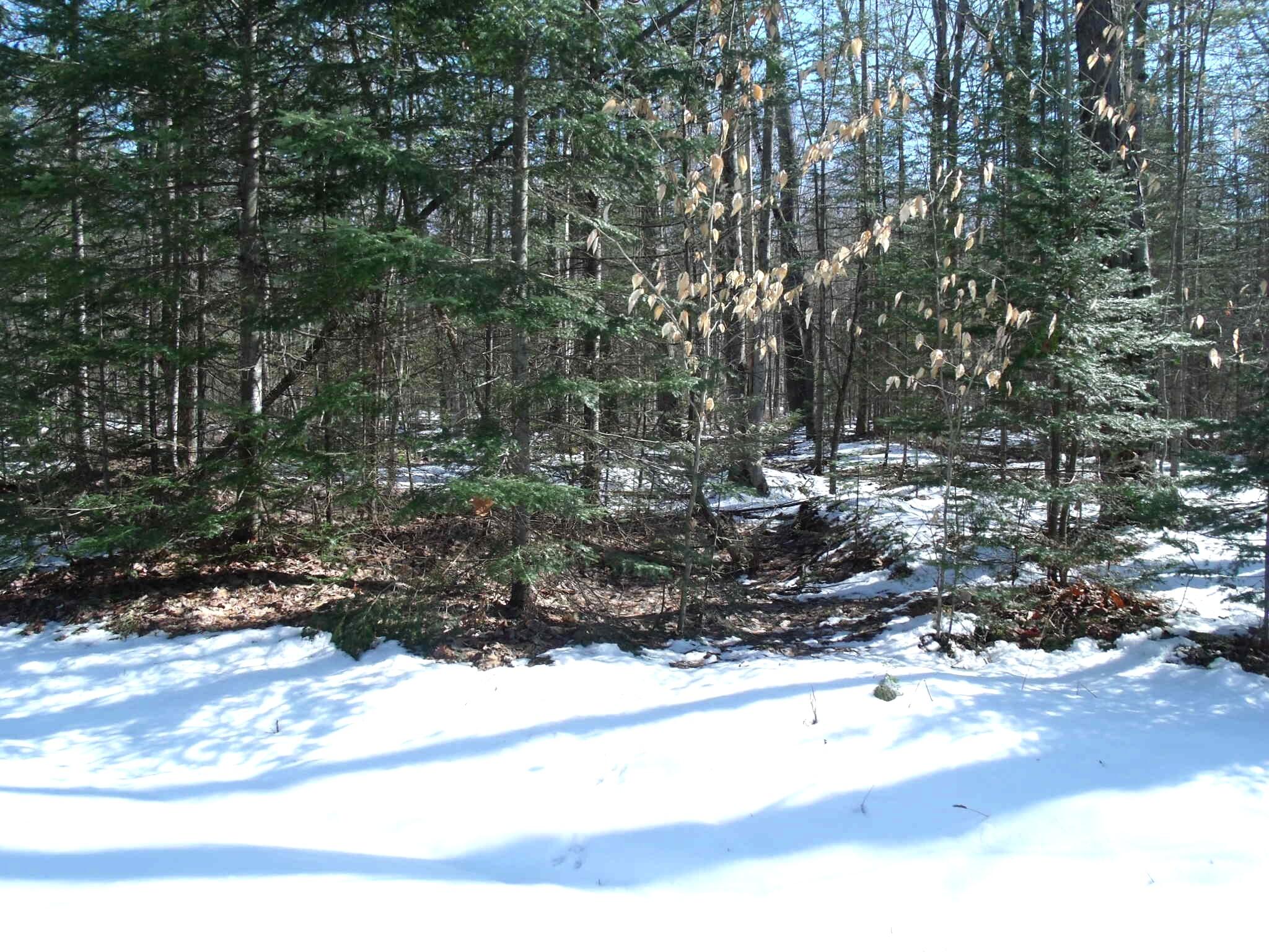 Indian River, Michigan 49749, United States, ,Land,Active,97559