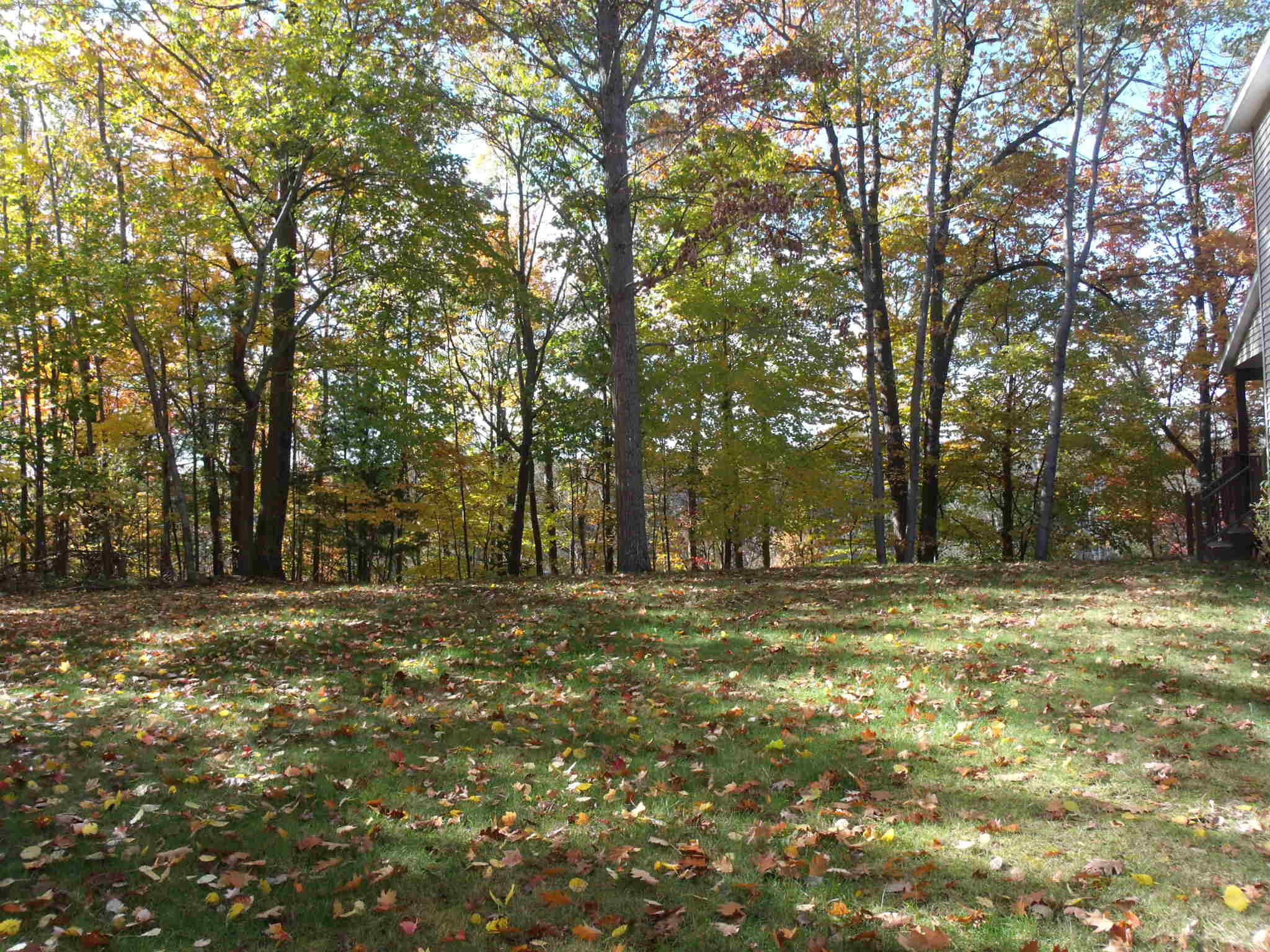 Indian River, Michigan 49749, United States, 3 Bedrooms Bedrooms, ,3 BathroomsBathrooms,Residential,Active,236813