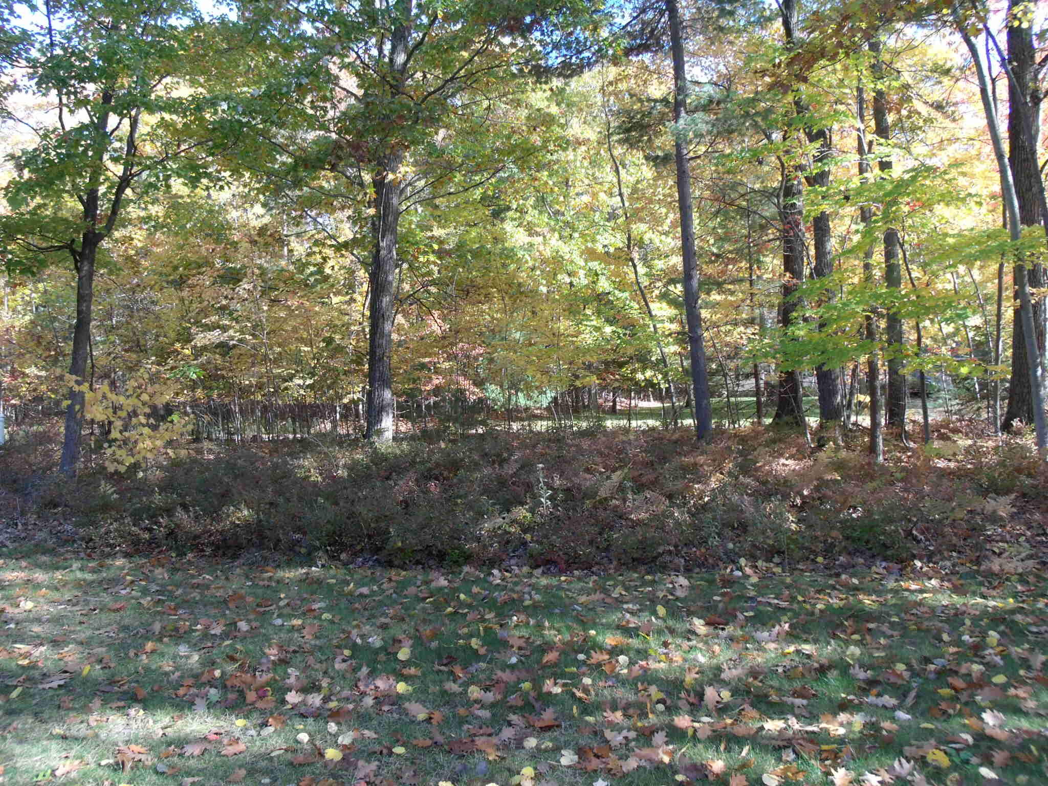 Indian River, Michigan 49749, United States, 3 Bedrooms Bedrooms, ,3 BathroomsBathrooms,Residential,Active,236813