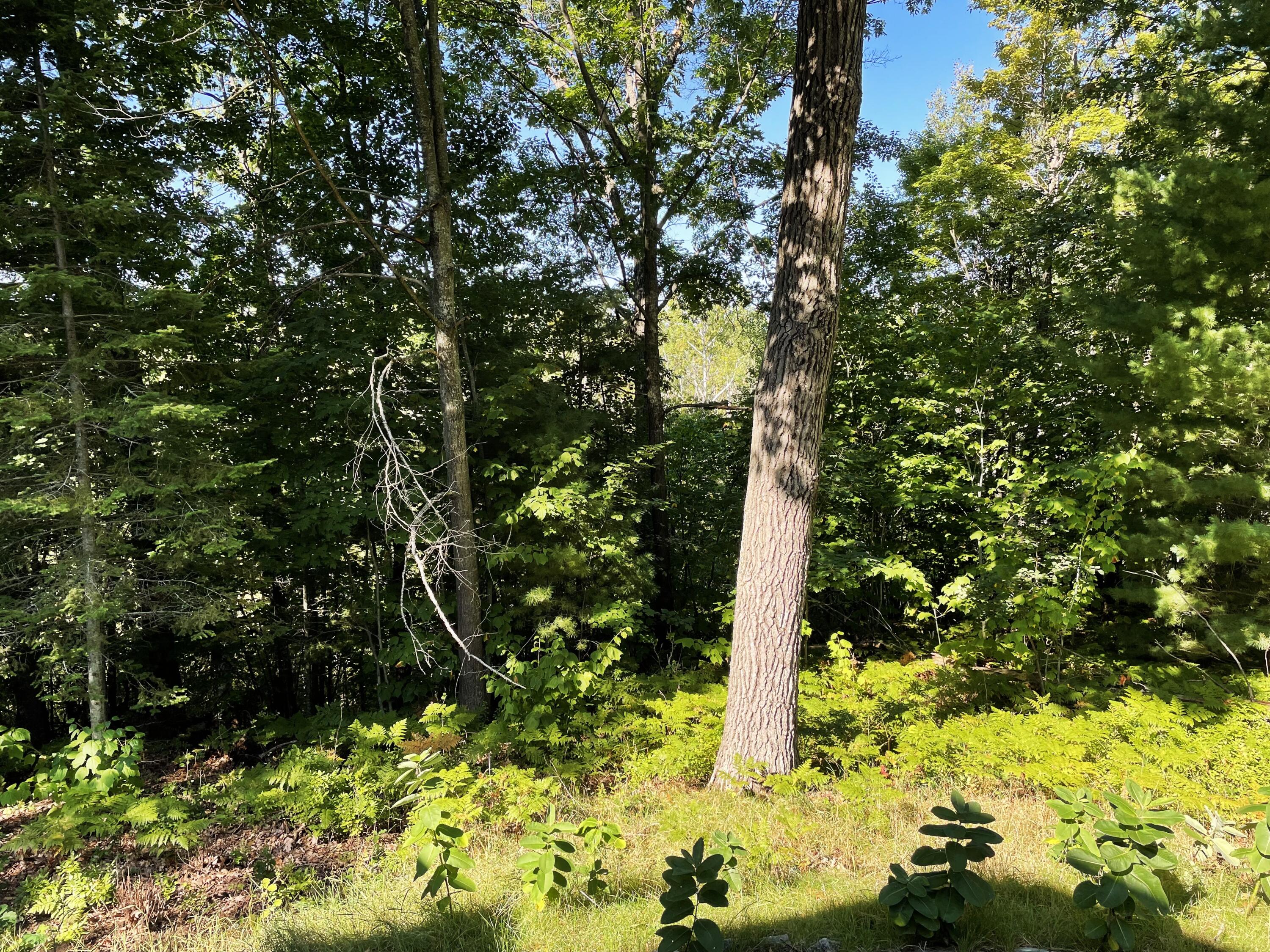 Indian River, Michigan 49749, United States, 3 Bedrooms Bedrooms, ,3 BathroomsBathrooms,Residential,Active,236813