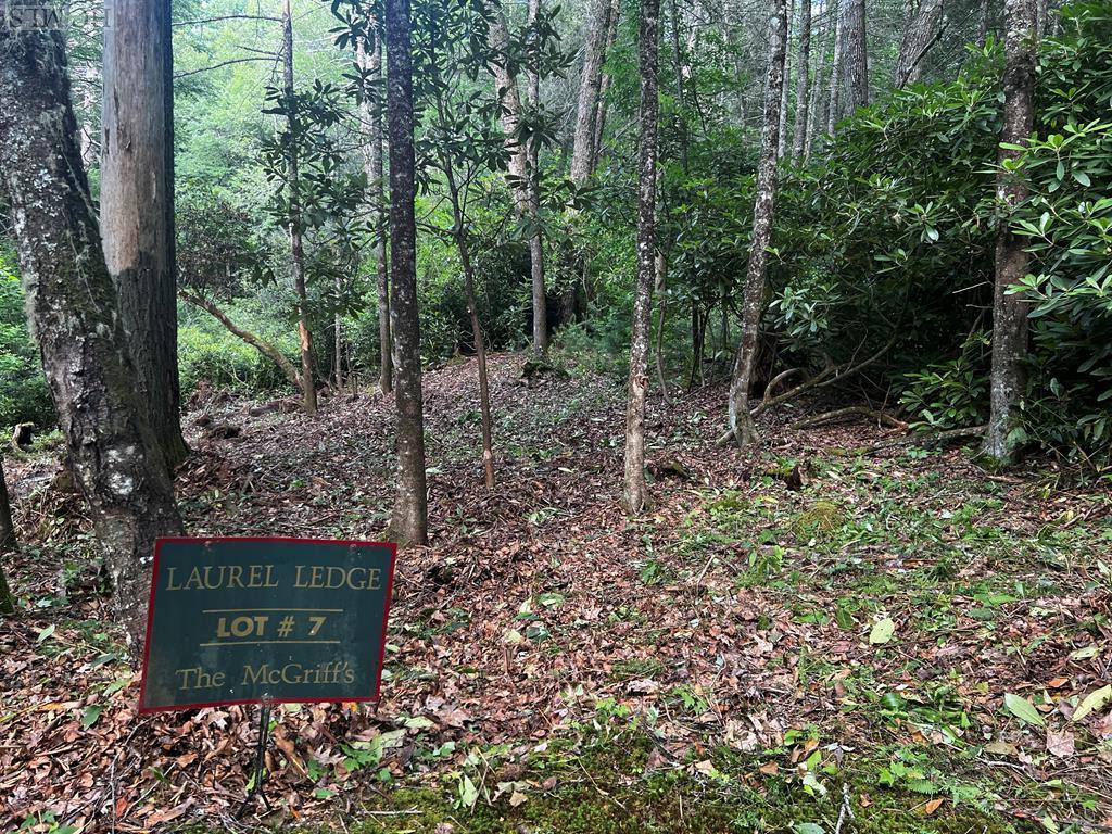 Lot #7 Cascades Falls Trail