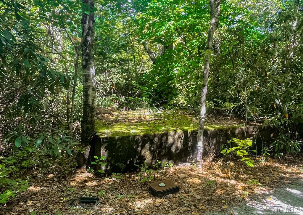 Highlands, North Carolina 28741, United States, ,Land,Active,49887