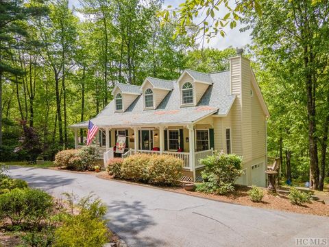 391 Tower Road, Sapphire, NC 28774 - #: 104305