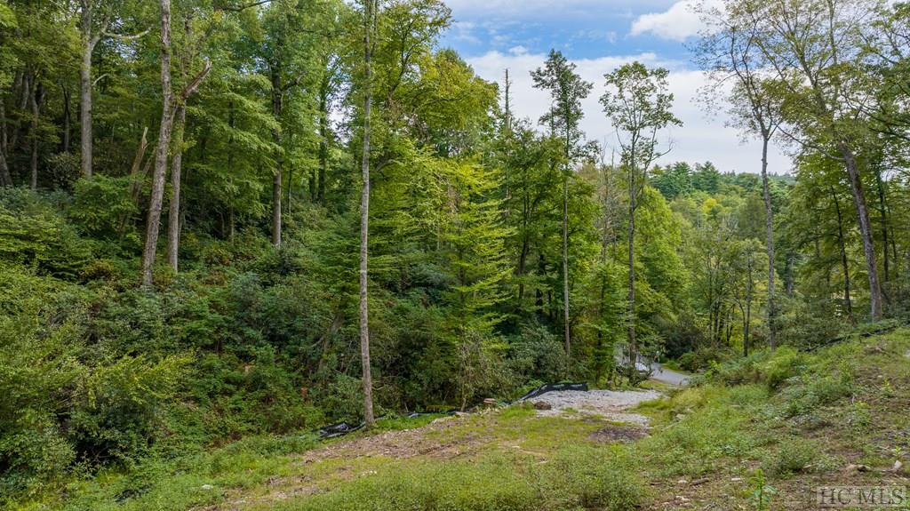 Highlands, North Carolina 28741, United States, ,Land,Active,44367