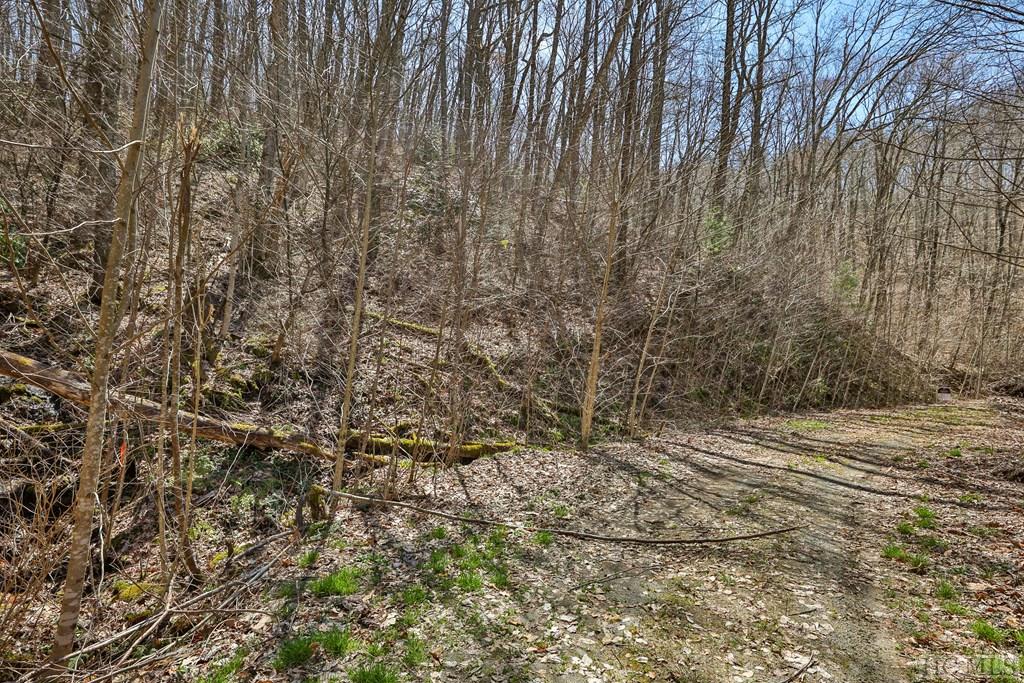 Cullowhee, North Carolina 28723, United States, ,Land,Active,61358