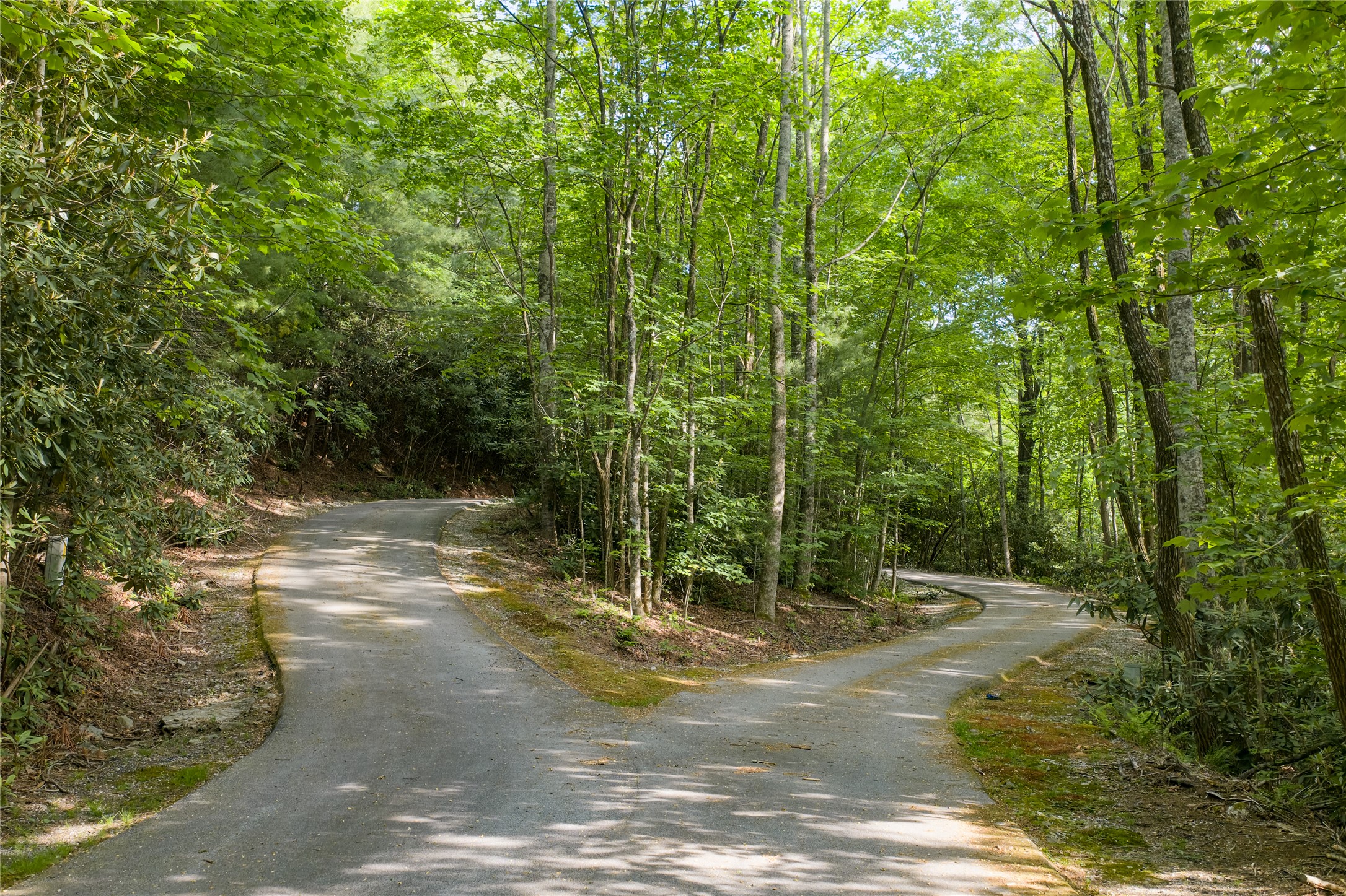 283 Pine Cone Court
