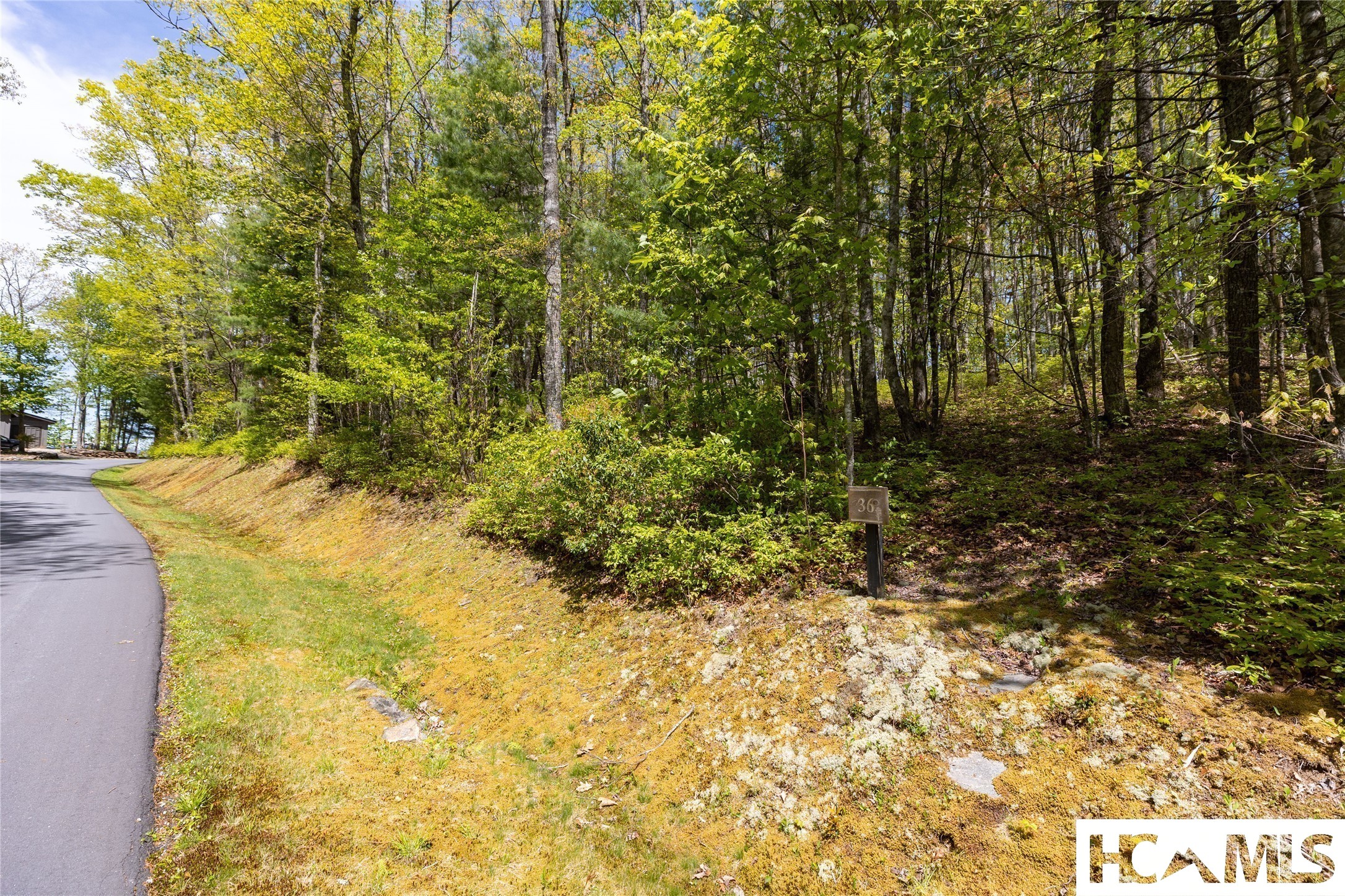 Lot 36 New Settler's Way