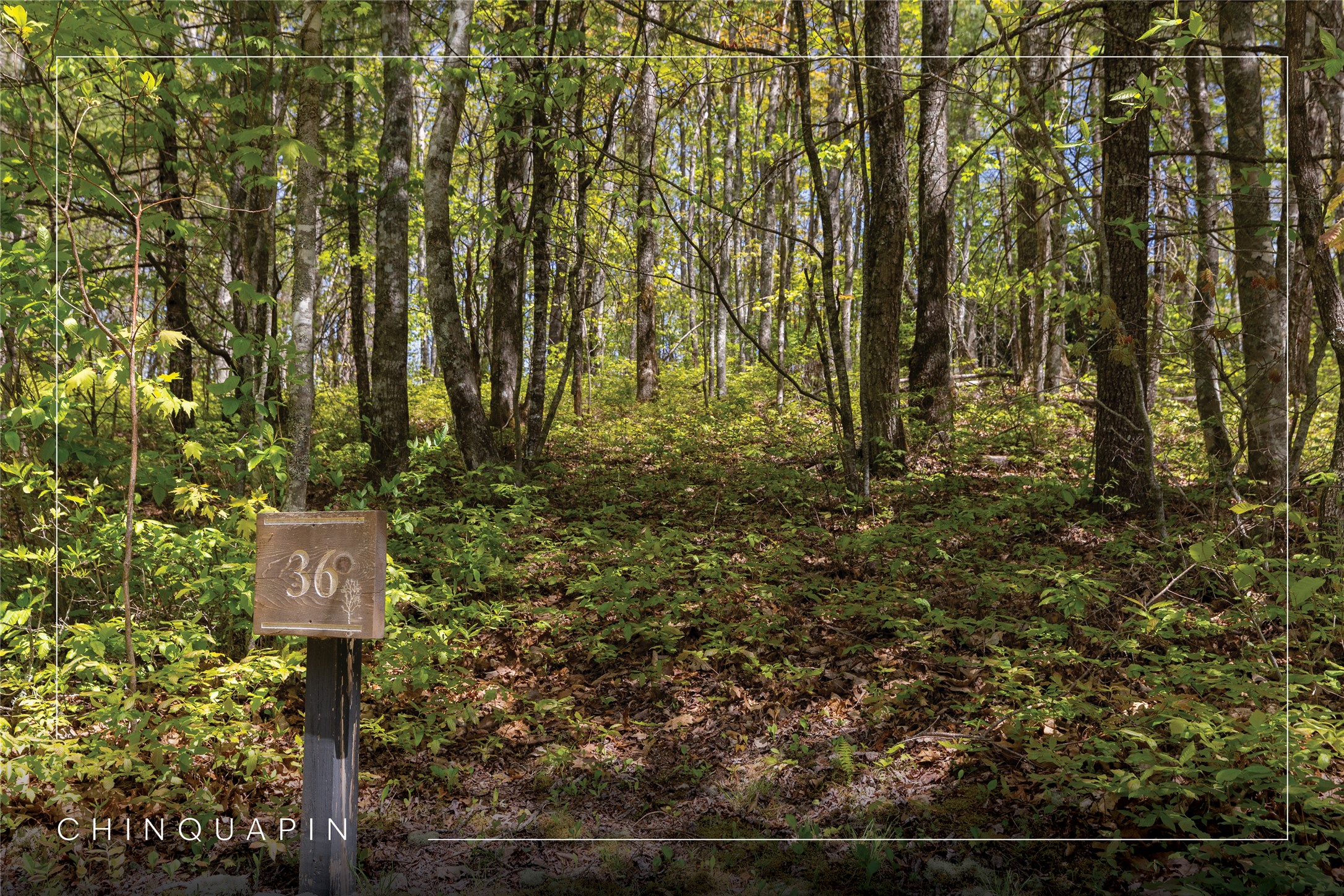 Lot 36 New Settler's Way