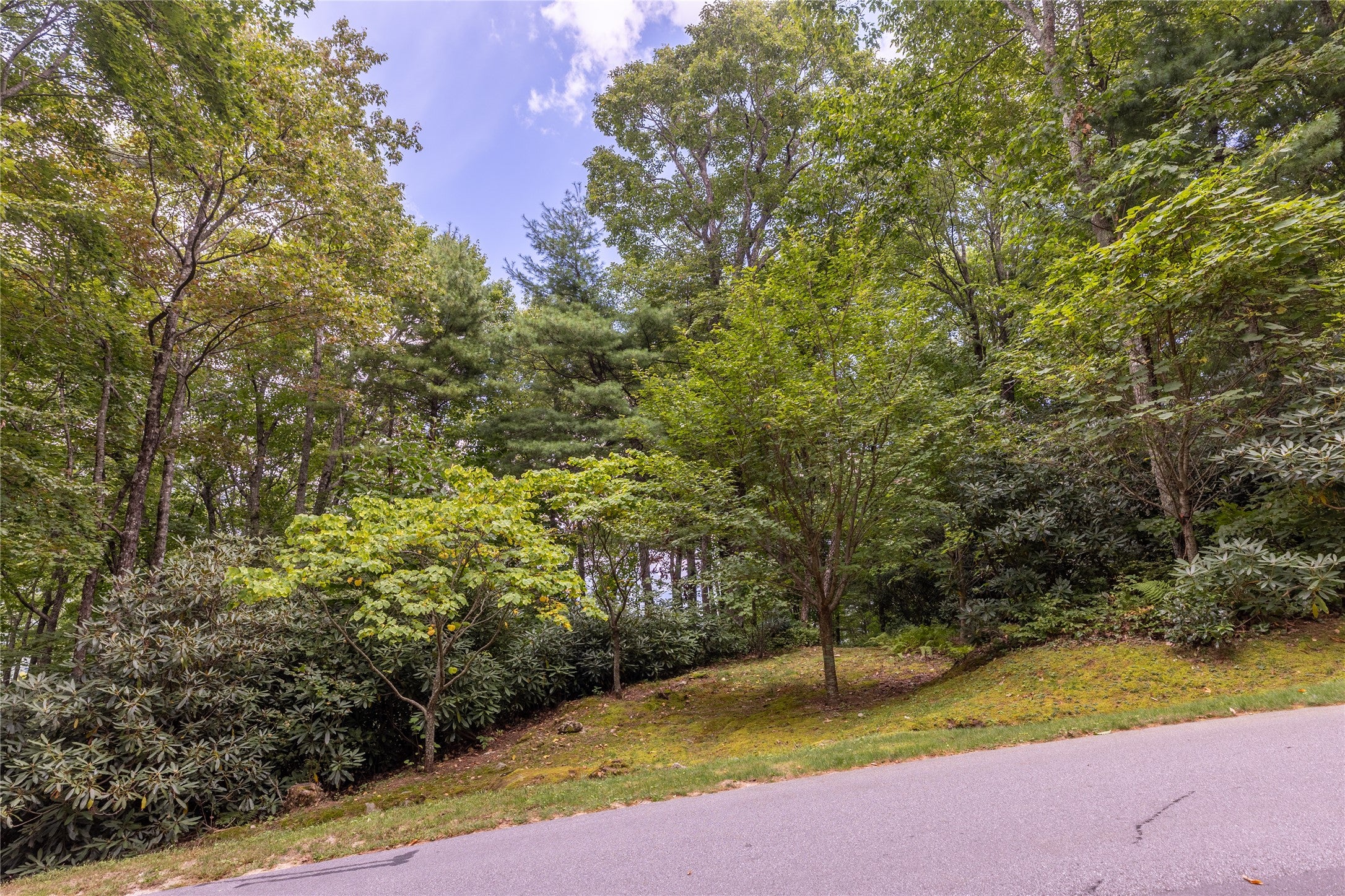 17 Falcon Ridge