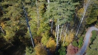 10 Lake Breeze Drive