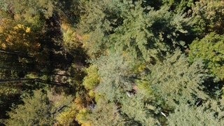 10 Lake Breeze Drive