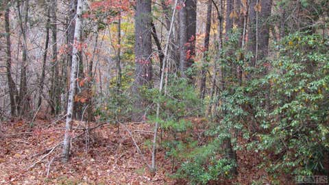 Photo for Lot # 62 Big Pine Road