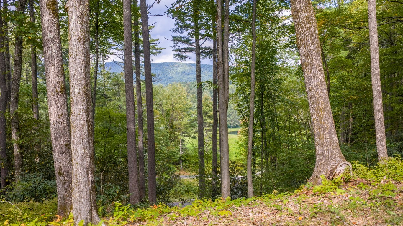 Cashiers, North Carolina 28717, United States, ,Land,Active,219983