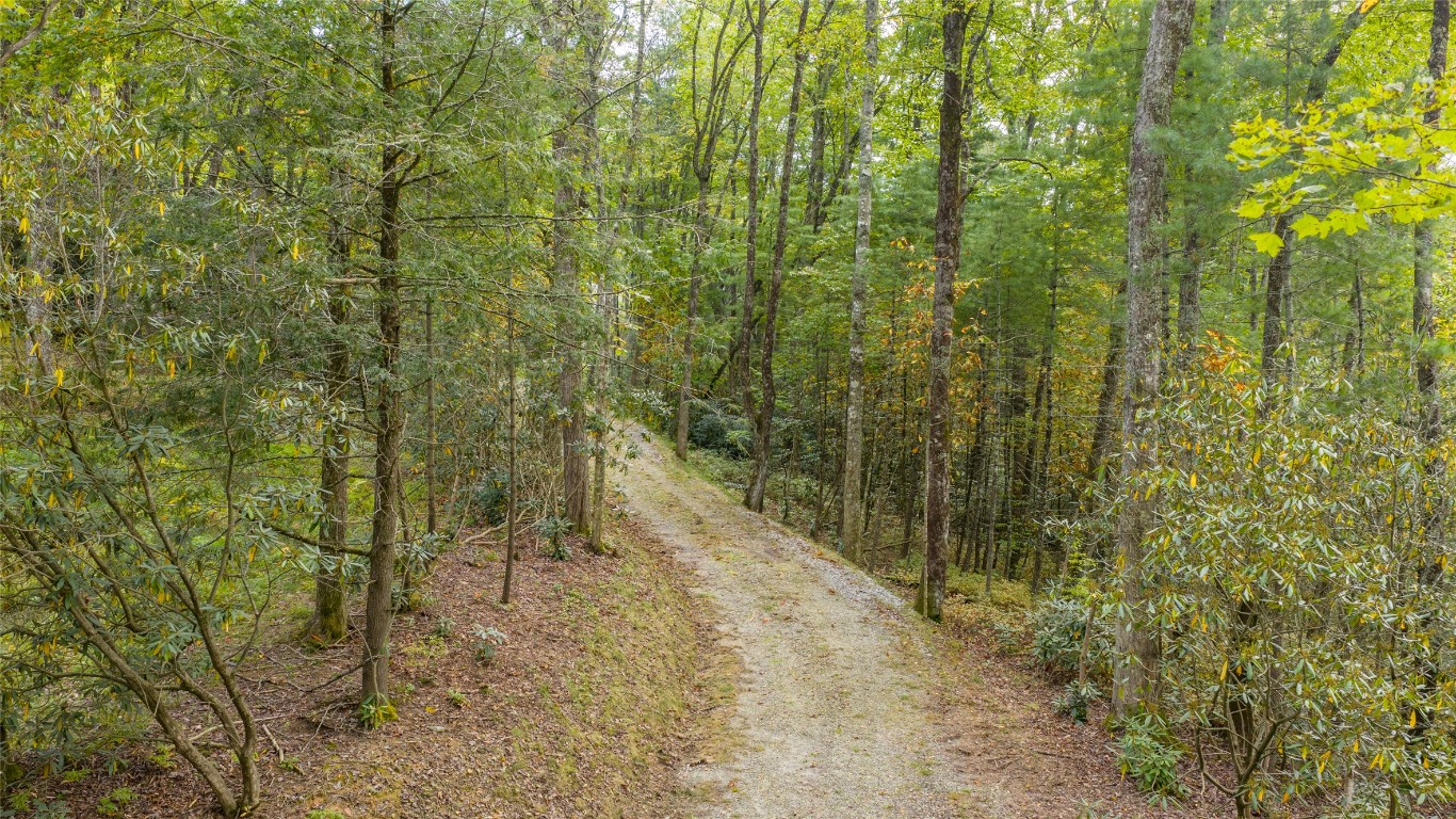 Cashiers, North Carolina 28717, United States, ,Land,Active,219983