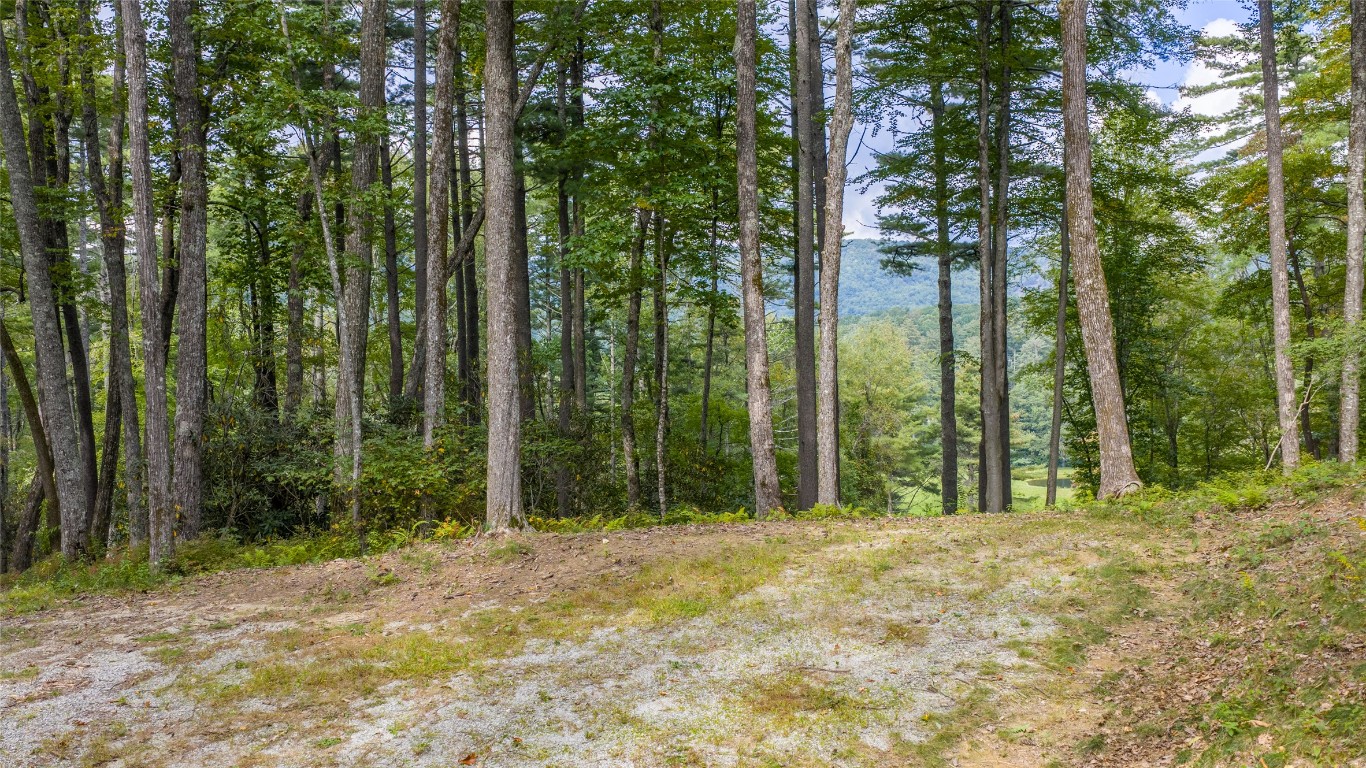 Cashiers, North Carolina 28717, United States, ,Land,Active,219983