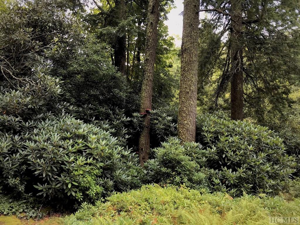 TBD Sagee Woods Drive