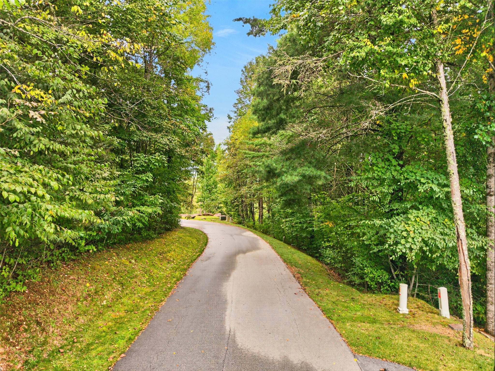 56 Springhead Trail