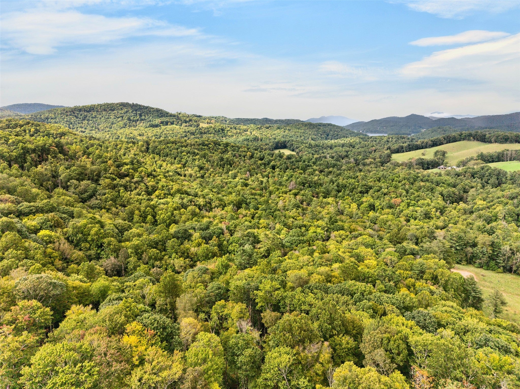 56 Springhead Trail