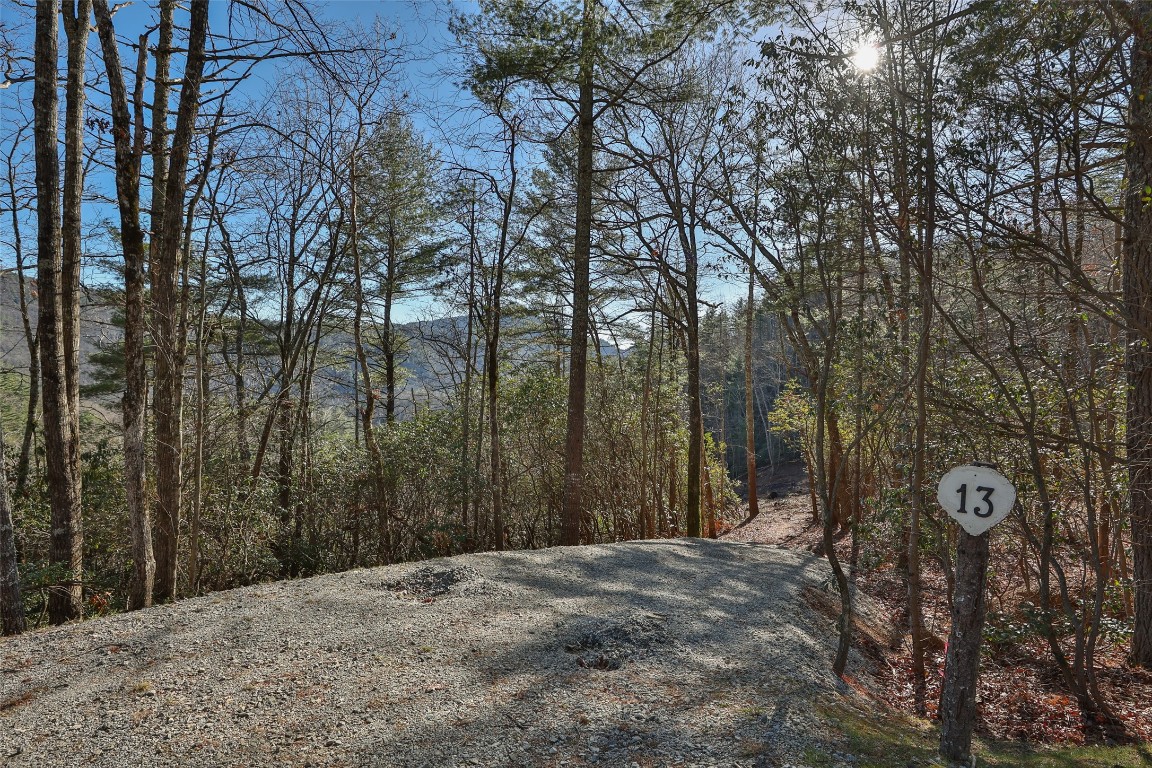 Cashiers, North Carolina 28717, United States, ,Land,Active,195843