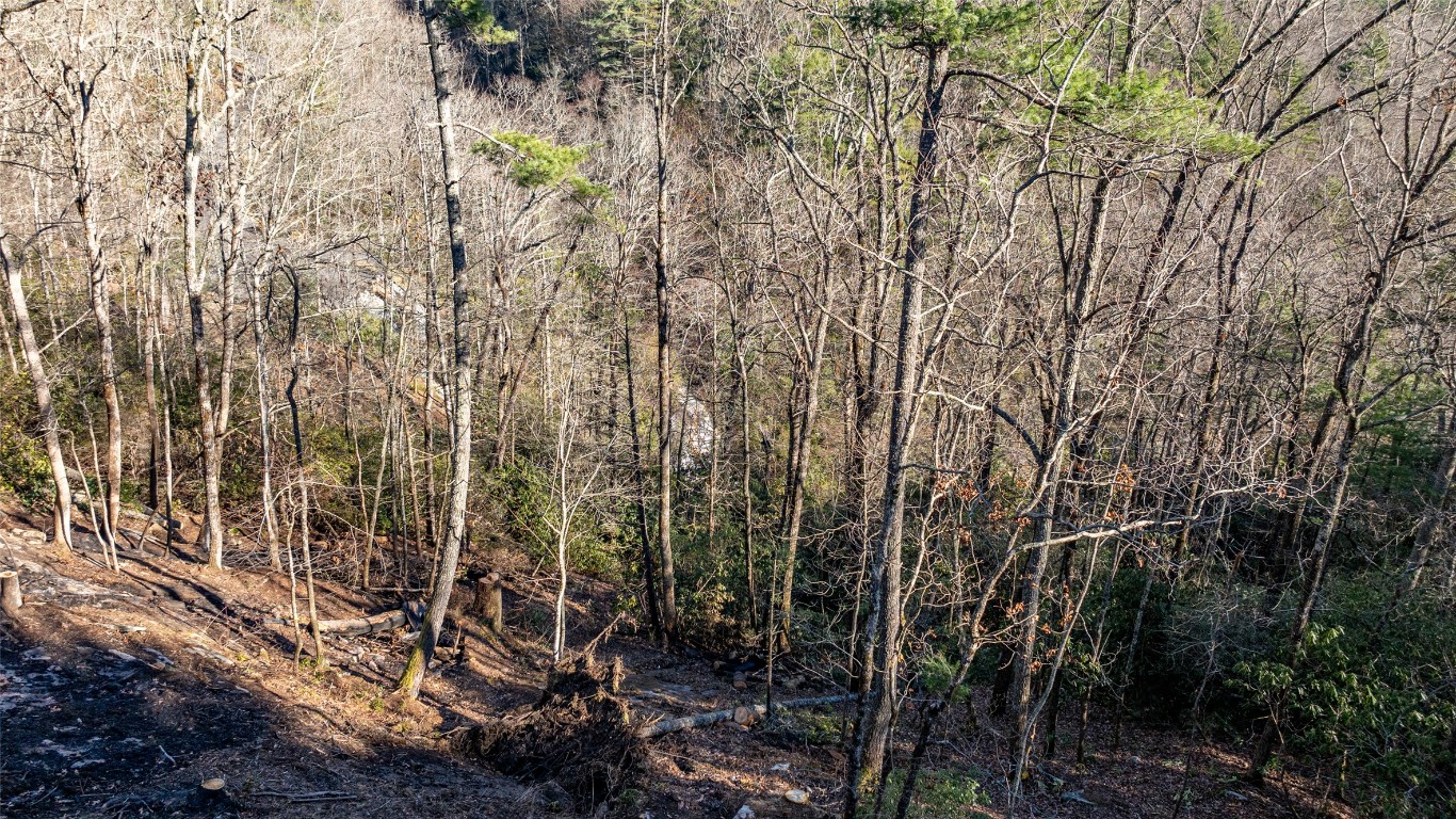 Cashiers, North Carolina 28717, United States, ,Land,Active,195843