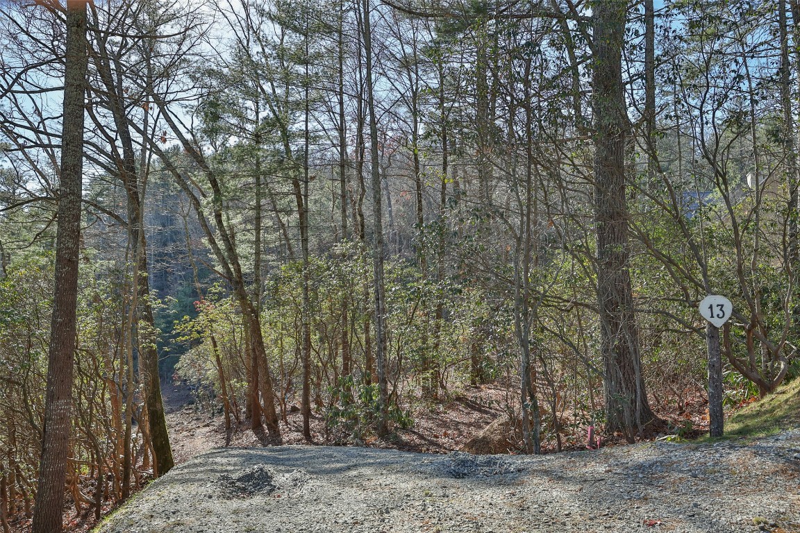 Cashiers, North Carolina 28717, United States, ,Land,Active,195843