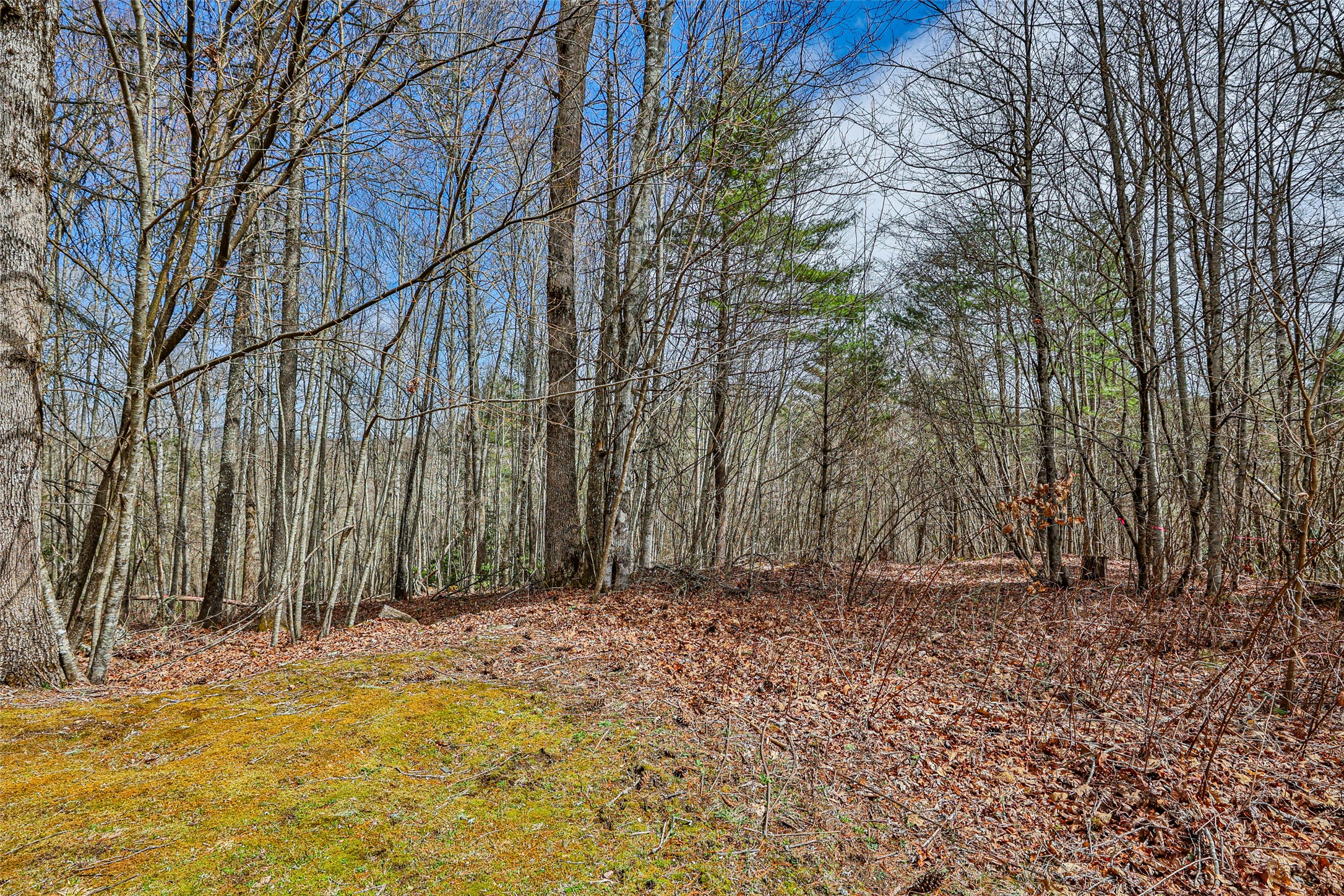 124 Compass Rose Way
