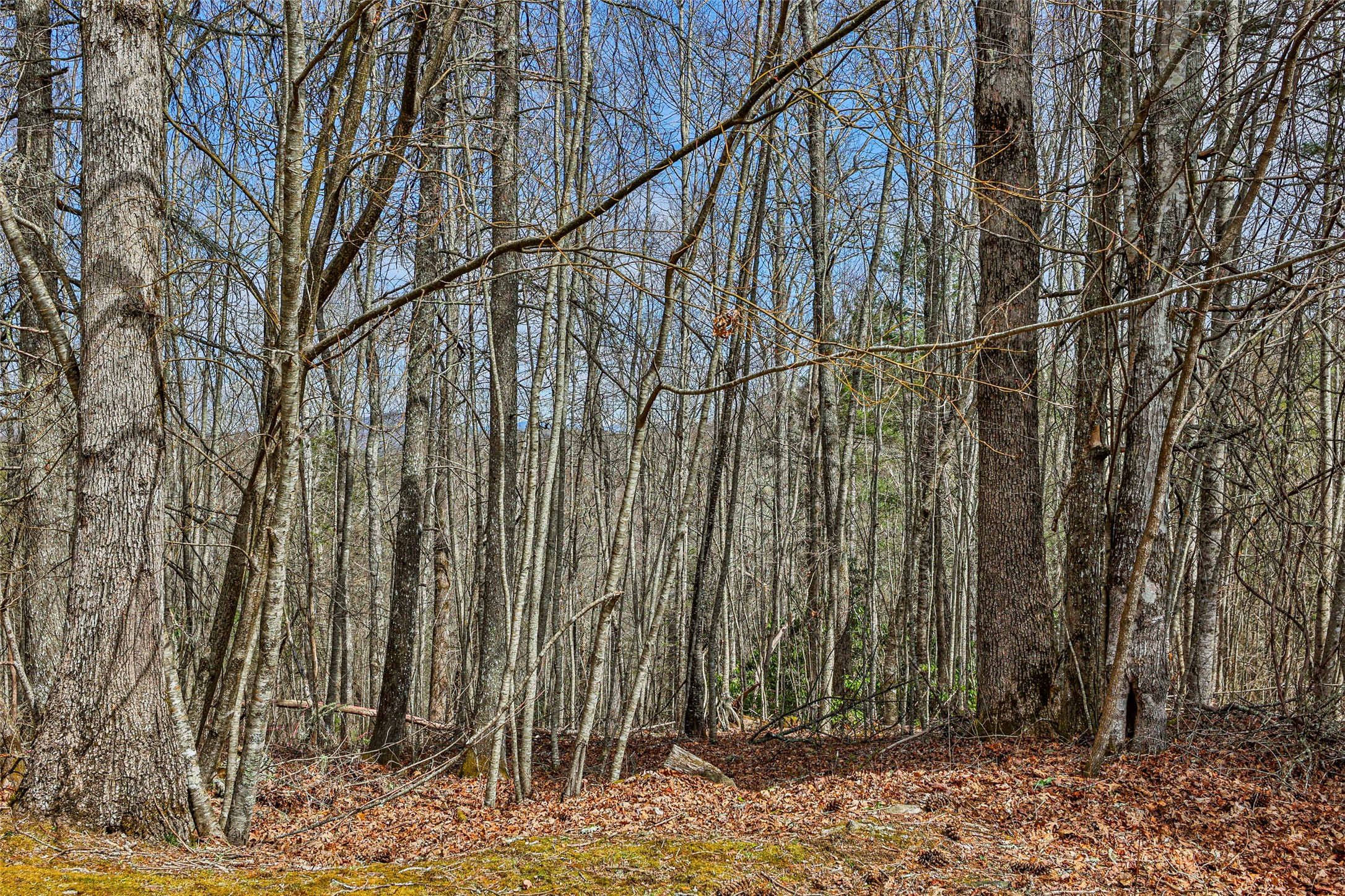 124 Compass Rose Way