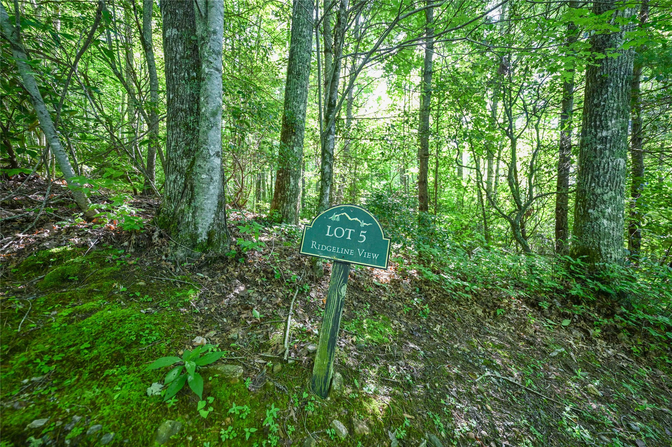 Lot 5 Luckies Way