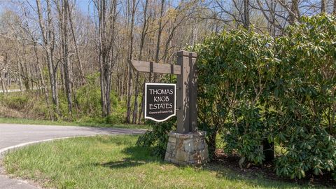 LOT 35 Thomas Knob Estates Road Scaly Mountain NC 28775
