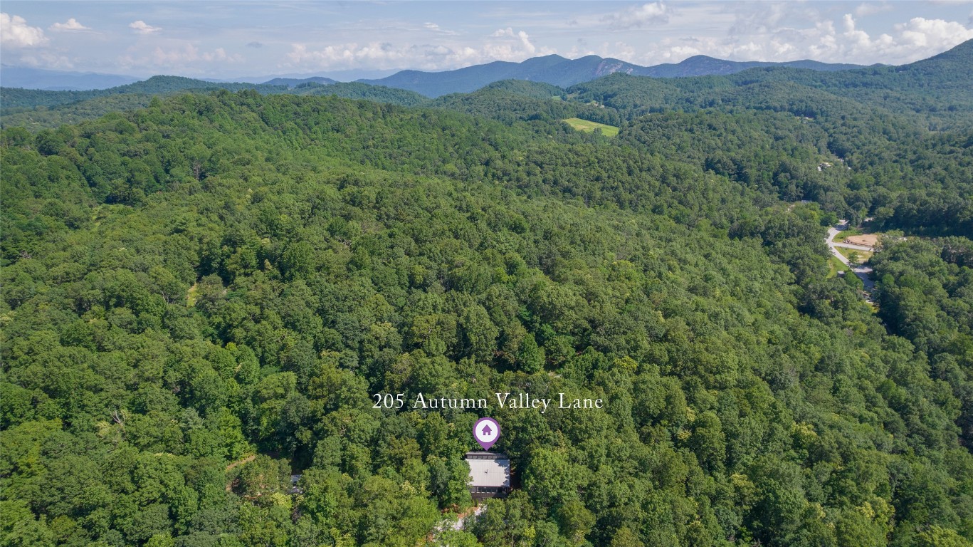 Scaly Mountain, North Carolina 28775, United States, 2 Bedrooms Bedrooms, ,2 BathroomsBathrooms,Residential,Active,172404