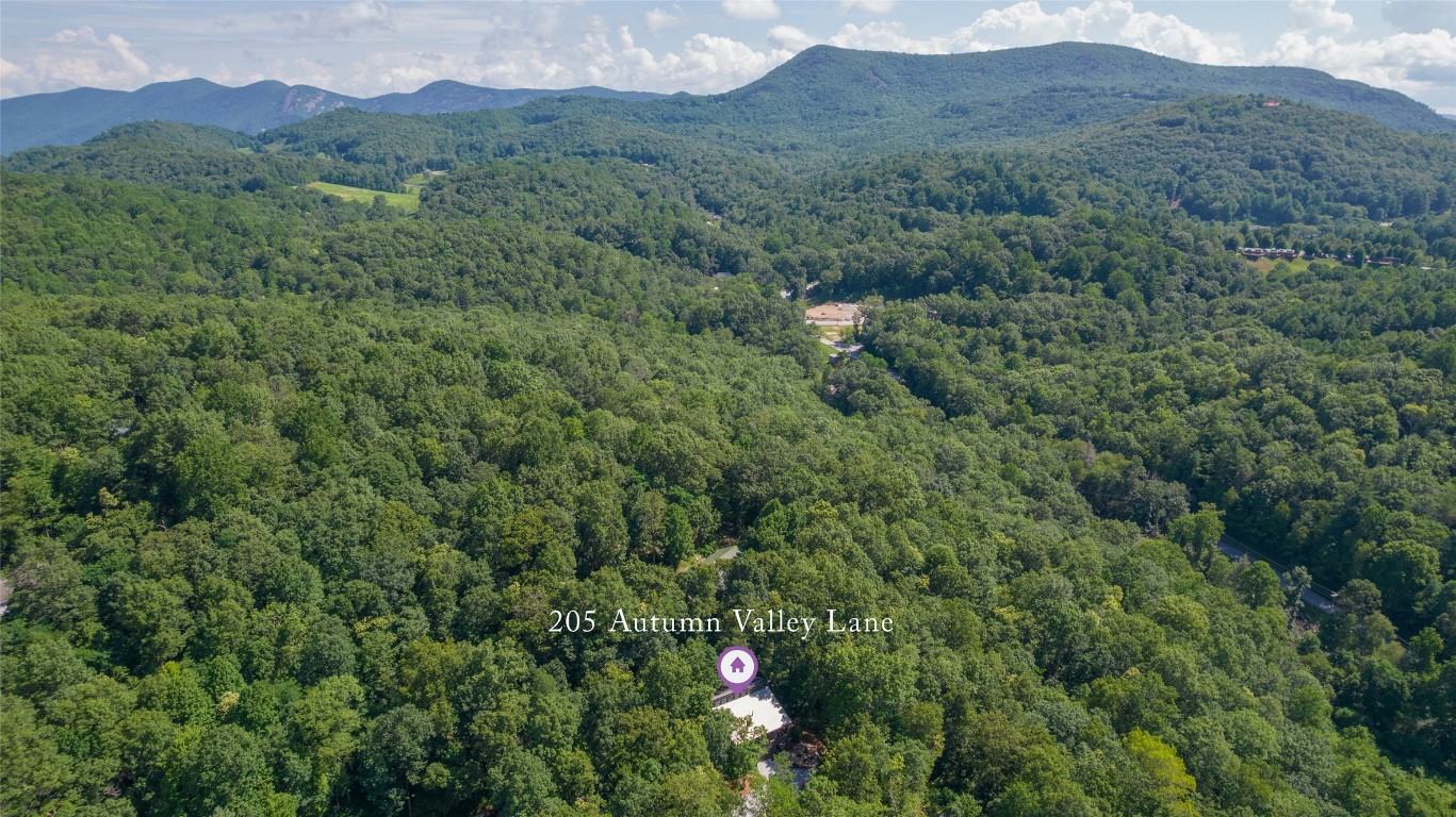 Scaly Mountain, North Carolina 28775, United States, 2 Bedrooms Bedrooms, ,2 BathroomsBathrooms,Residential,Active,172404