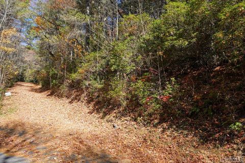 0 Lick Log Rd Scaly Mountain NC 28775