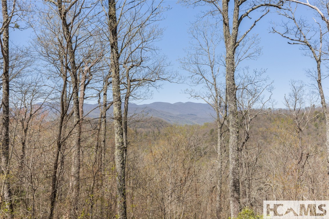 Scaly Mountain, North Carolina 28775, United States, 3 Bedrooms Bedrooms, ,4 BathroomsBathrooms,Residential,Active,160827