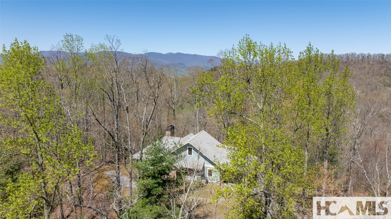Scaly Mountain, North Carolina 28775, United States, 3 Bedrooms Bedrooms, ,4 BathroomsBathrooms,Residential,Active,160827