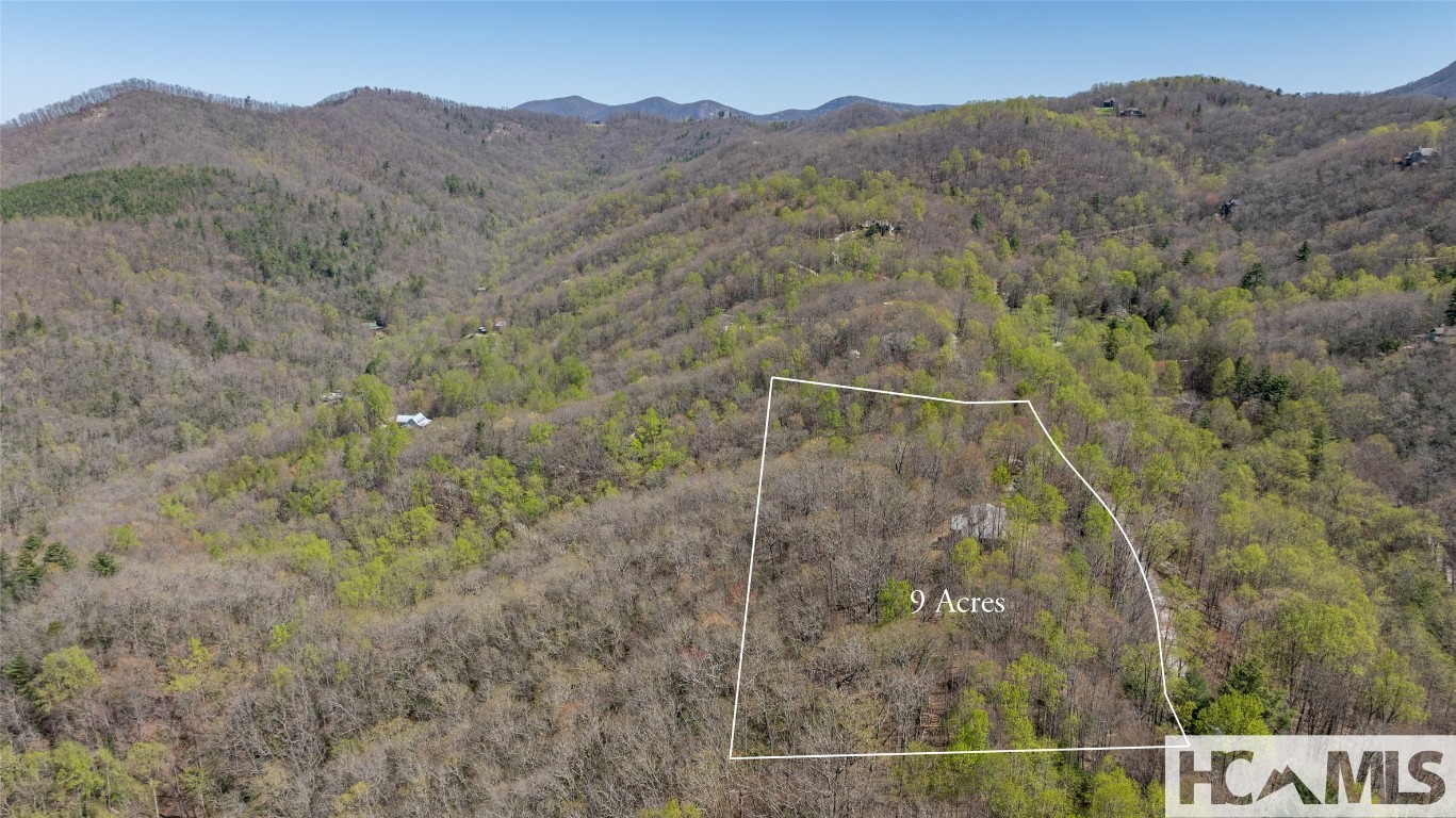 Scaly Mountain, North Carolina 28775, United States, 3 Bedrooms Bedrooms, ,4 BathroomsBathrooms,Residential,Active,160827