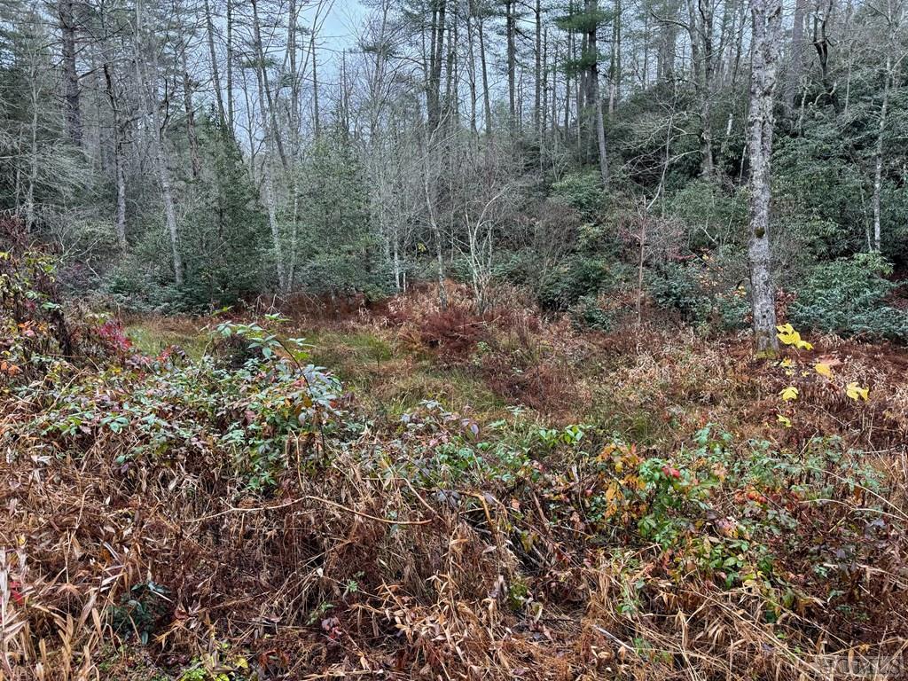 Highlands, North Carolina 28741, United States, ,Land,Active,155694