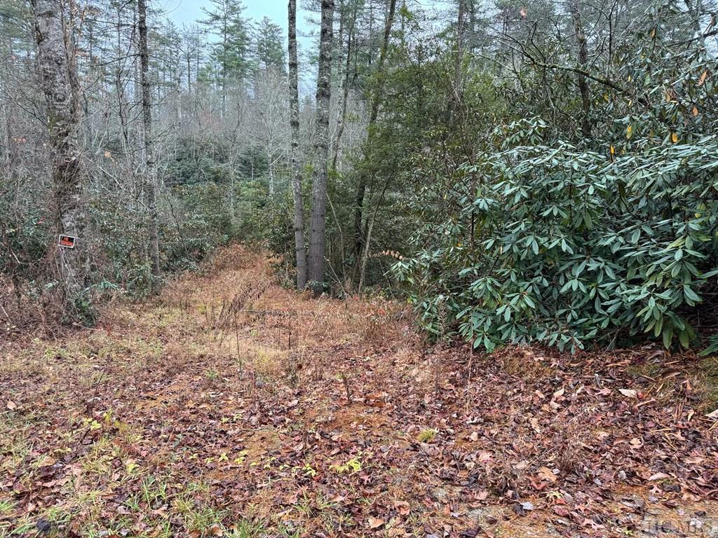 Highlands, North Carolina 28741, United States, ,Land,Active,155694