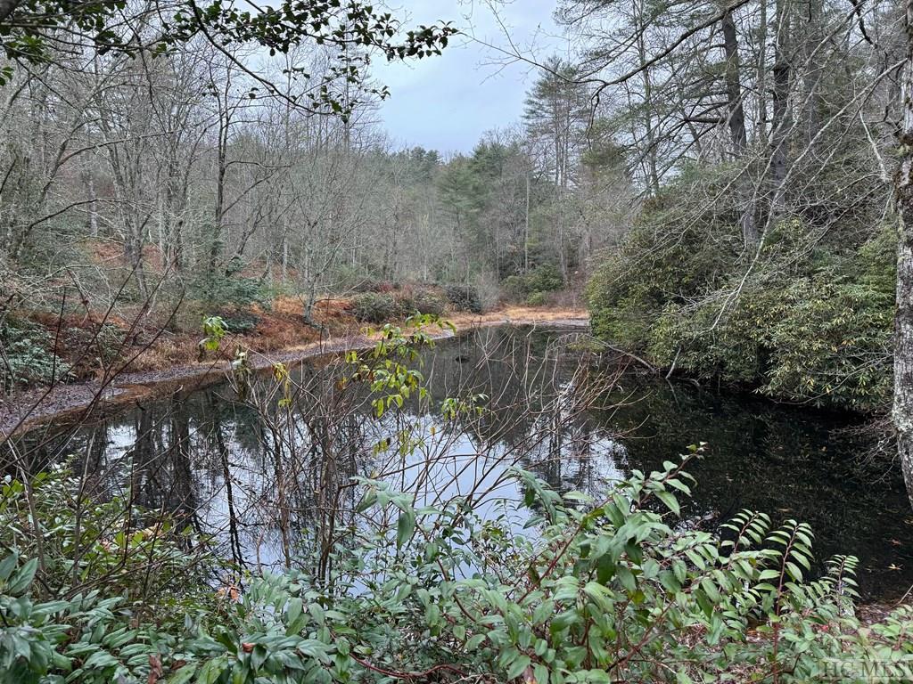 Highlands, North Carolina 28741, United States, ,Land,Active,155694